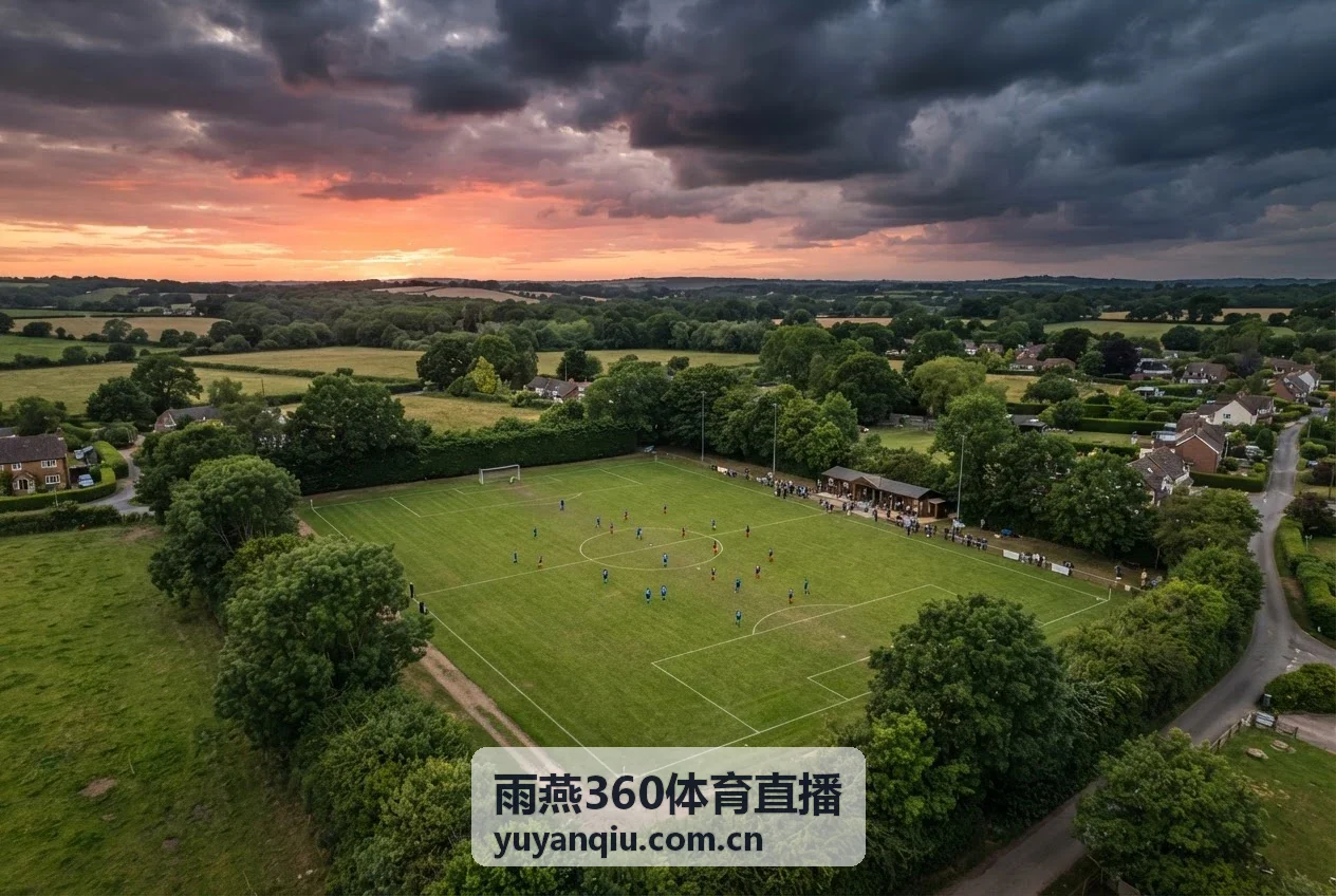 雨燕360体育直播 - 中超联赛录像回放封面
